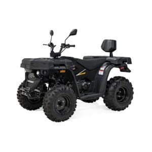 MSA 210